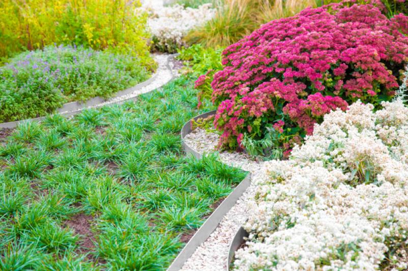 Girl Scout honors cancer patients with 'Healing Garden' | United Health ...